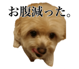 Nishikawas putty sticker #13516346