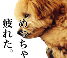 Nishikawas putty sticker #13516347