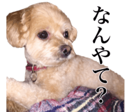 Nishikawas putty sticker #13516348