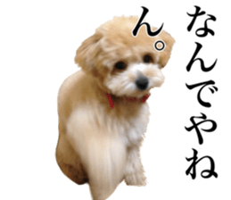 Nishikawas putty sticker #13516349