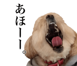 Nishikawas putty sticker #13516350