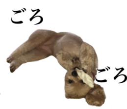 Nishikawas putty sticker #13516351