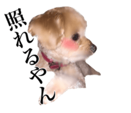 Nishikawas putty sticker #13516352