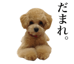 Nishikawas putty sticker #13516353