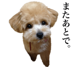 Nishikawas putty sticker #13516355