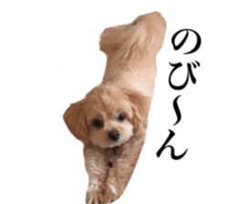 Nishikawas putty sticker #13516356