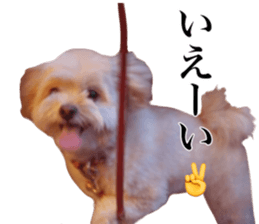 Nishikawas putty sticker #13516357