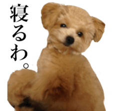 Nishikawas putty sticker #13516358