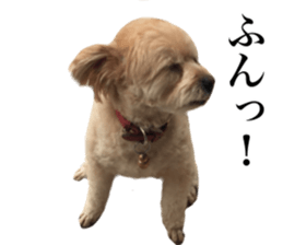 Nishikawas putty sticker #13516359