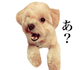 Nishikawas putty sticker #13516360