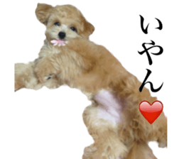 Nishikawas putty sticker #13516361