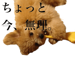 Nishikawas putty sticker #13516362