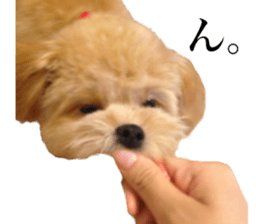 Nishikawas putty sticker #13516363