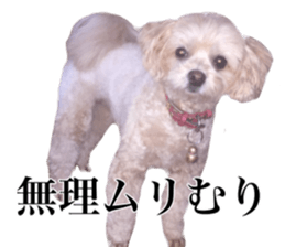 Nishikawas putty sticker #13516365