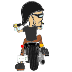 I LOVE American Motorcycle!!sports