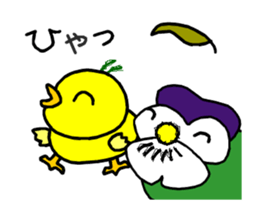 Piyo-01 sticker #13517505