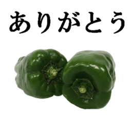 Green pepper. sticker #13518262