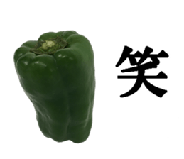 Green pepper. sticker #13518265