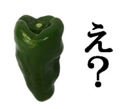 Green pepper. sticker #13518266