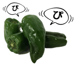 Green pepper. sticker #13518268