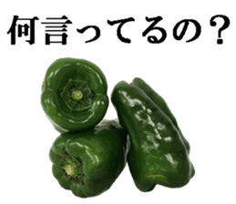 Green pepper. sticker #13518271