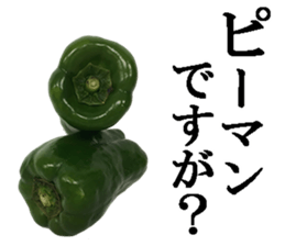 Green pepper. sticker #13518272