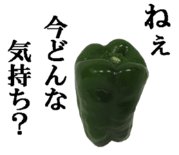 Green pepper. sticker #13518274