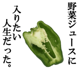 Green pepper. sticker #13518276