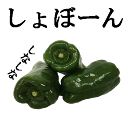 Green pepper. sticker #13518282