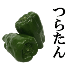 Green pepper. sticker #13518283