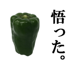 Green pepper. sticker #13518285