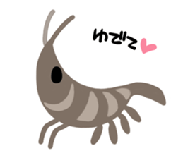 Shrimp! sticker #13518364