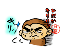 Hidaka mark sticker #13518747