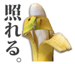 Banana. sticker #13522801