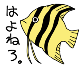 Aquarium funny fish Sticker sticker #13523486