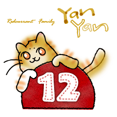 YanYan-12