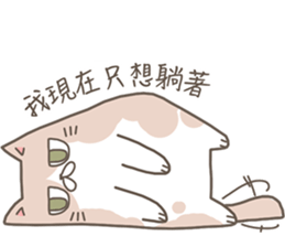 Lively Kittens sticker #13525616