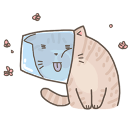 Lively Kittens sticker #13525618