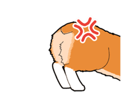 Rear of Corgi [Animation] Japanese Ver. sticker #13527433