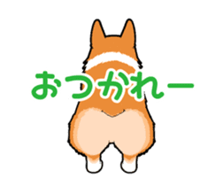 Rear of Corgi [Animation] Japanese Ver. sticker #13527437