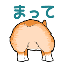 Rear of Corgi [Animation] Japanese Ver. sticker #13527441