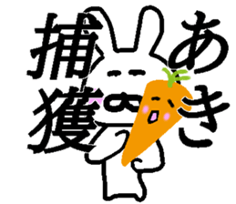 My name is Aki sticker #13527501