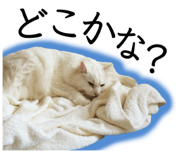 Soooo cute! White cat Sticker 3 sticker #13527539