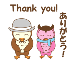 couple owl animated sticker #13528978