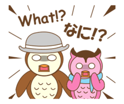 couple owl animated sticker #13528982