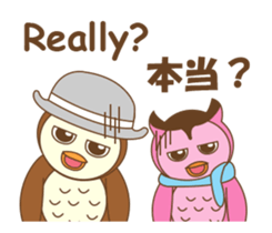 couple owl animated sticker #13528990