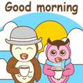 couple owl animated