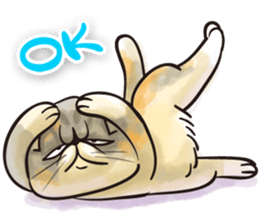 COOL CATS Sticker sticker #13530631