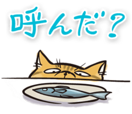 COOL CATS Sticker sticker #13530639