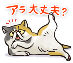 COOL CATS Sticker sticker #13530645